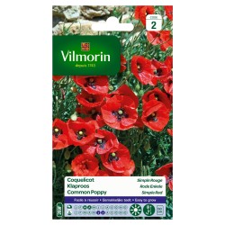 Vilmorin - Coquelicot Simple Rouge