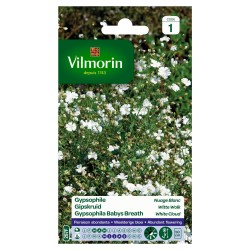 Vilmorin - Gypsophile Nuage Blanc