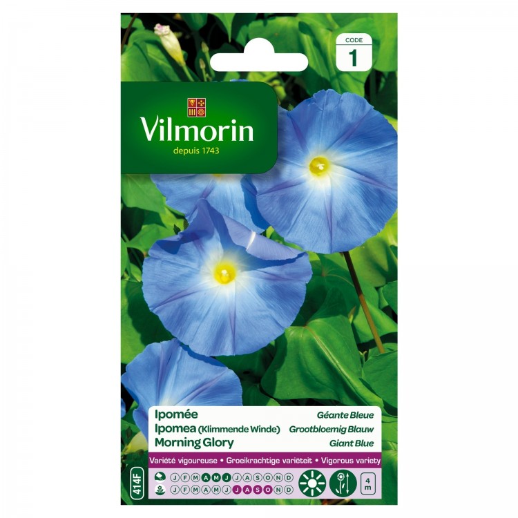 Vilmorin - Ipomée Géante Bleue