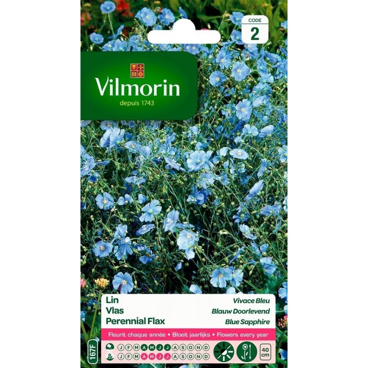 Vilmorin - Lin vivace bleu