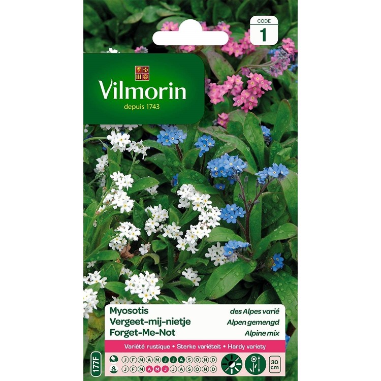 Vilmorin - Myosotis des Alpes Varié