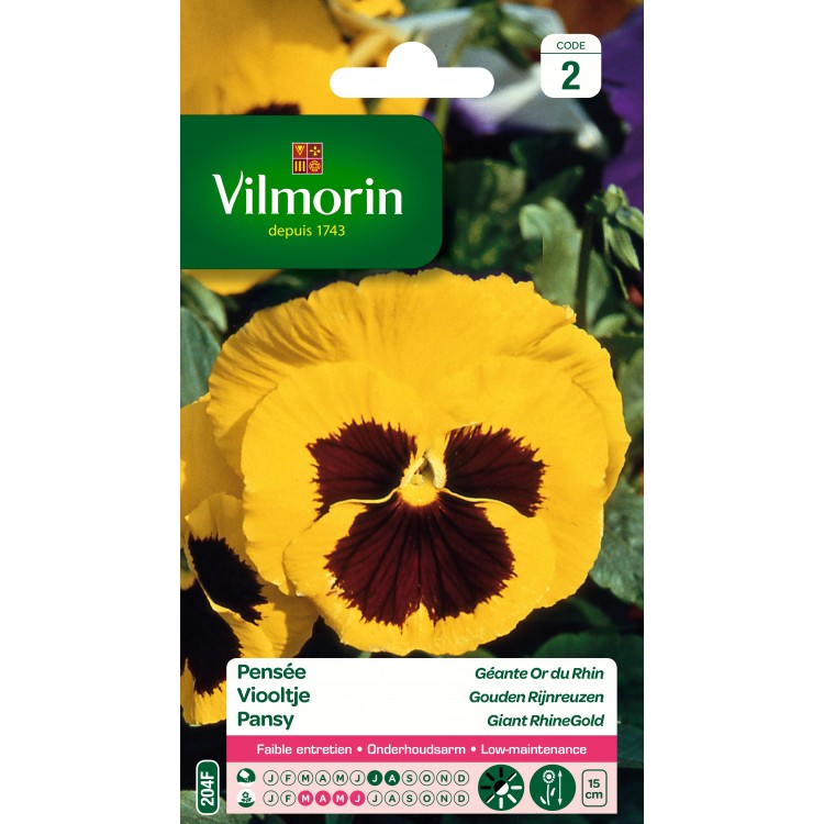 Vilmorin - Pensée Géante Or du Rhin (jaune maculé)