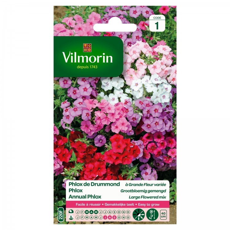 Vilmorin - Phlox De Drummond à Grande Fleur Varié