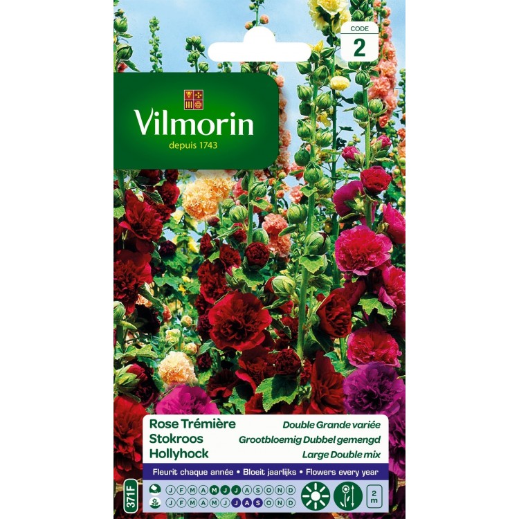 Vilmorin - Rose Trémière Double Grande Variée