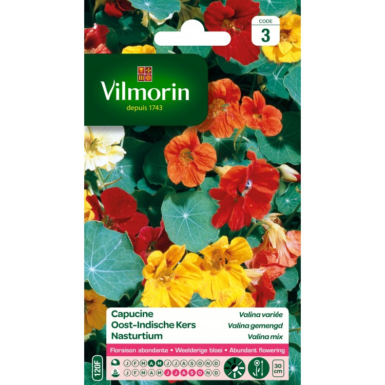 Vilmorin - Capucine Valina variée