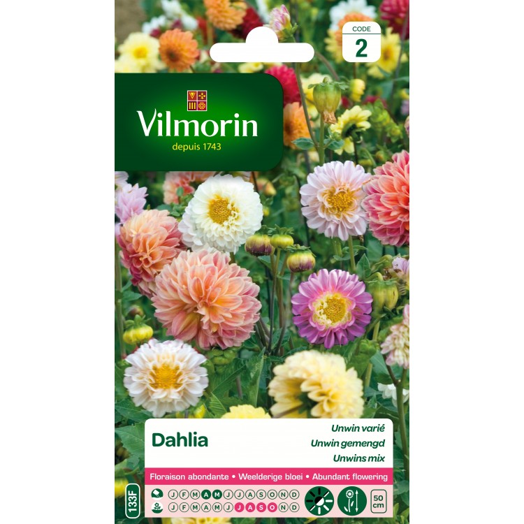 Vilmorin - Dahlia Unwin varié