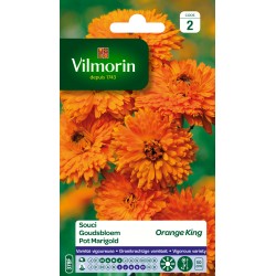 Vilmorin - Souci Orange King (orange)