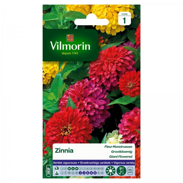 Vilmorin - Zinnia à Fleurs Monstrueuses Variées en Sachet