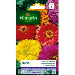 Vilmorin - Zinnia Géant de Californie