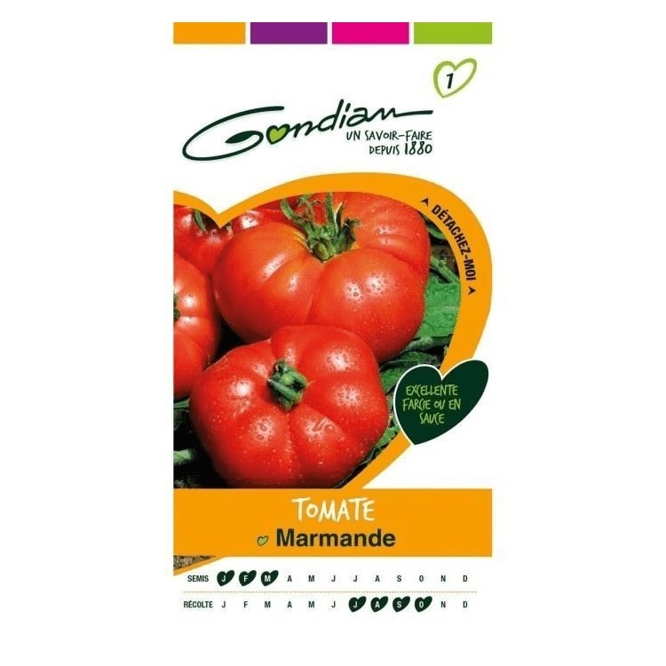 Gondian - Tomate Marmande Rouge