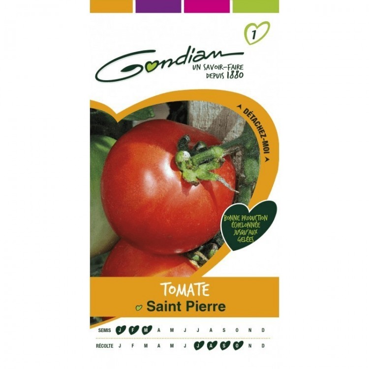 Gondian - Tomate Saint Pierre