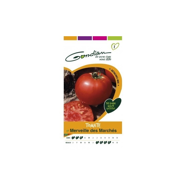 Gondian - Tomate Merveille des Marches
