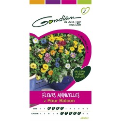 Gondian - Fleurs Annuelles pour Balcon Multicolore