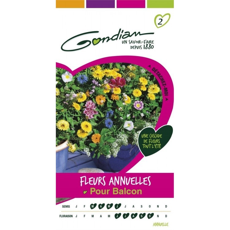 Gondian - Fleurs Annuelles pour Balcon Multicolore