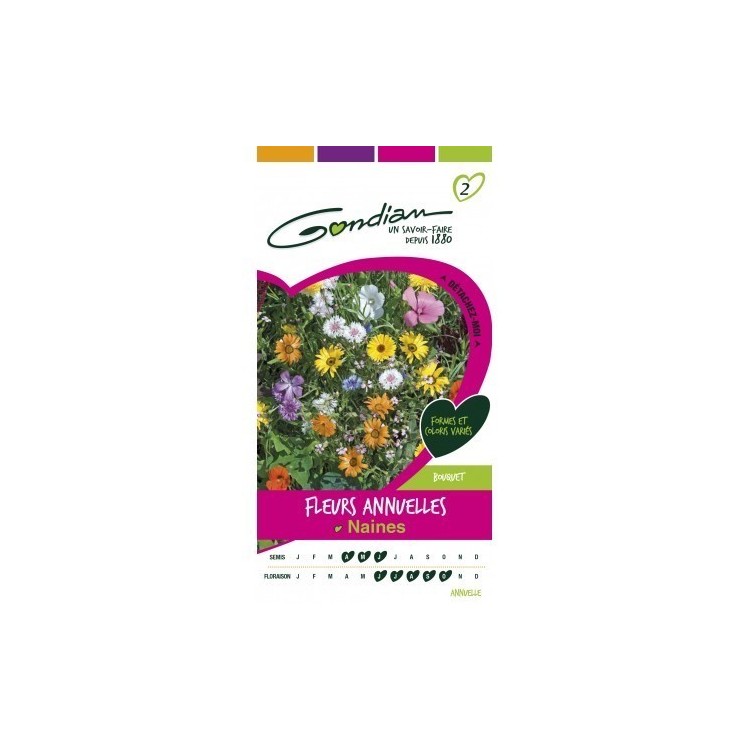 Gondian - Fleurs Annuelles Naines Multicolore