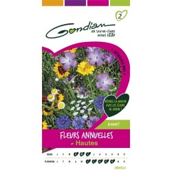 Gondian - Fleurs Annuelles Hautes Multicolore