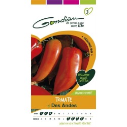 Gondian - Tomate Cornue des Andes