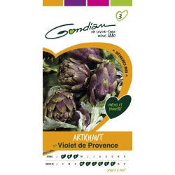 Gondian - Artichaut Violet de Provence