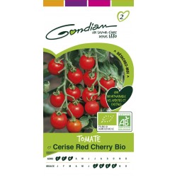 Gondian - Tomate Cerise Bio