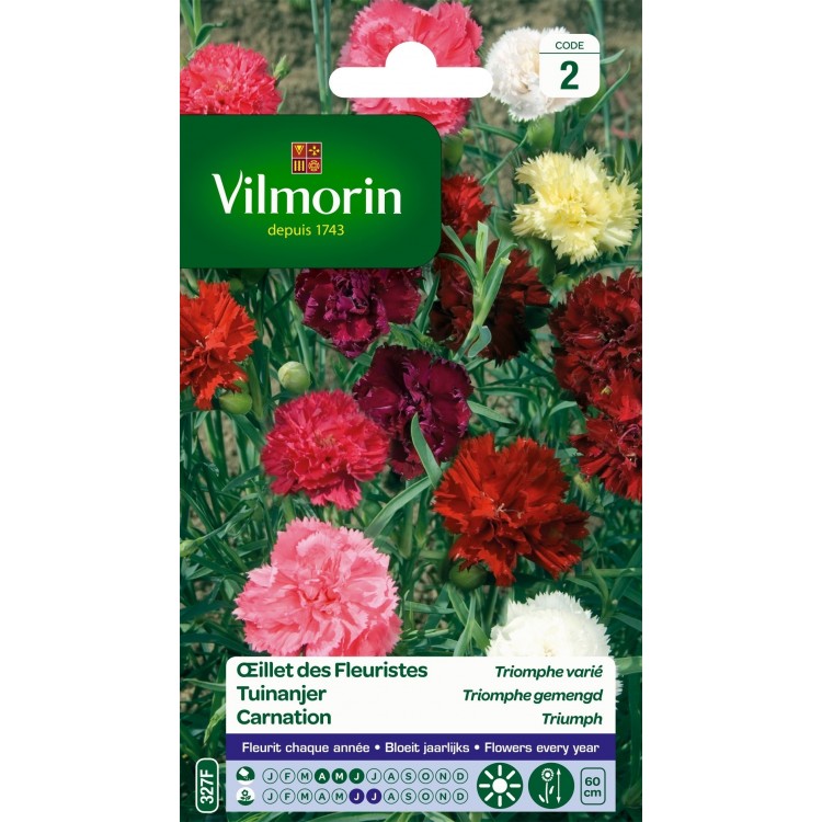Vilmorin - Oeillet des Fleuristes, Triomphe Mix