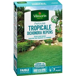 Vilmorin - Pelouse Tropicale Dichondra Repens 500 G