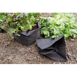 Lot de 12 Sacs de Protection pour Salade Bag Biocontrol