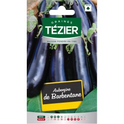 Tezier - Aubergine de Barbentane