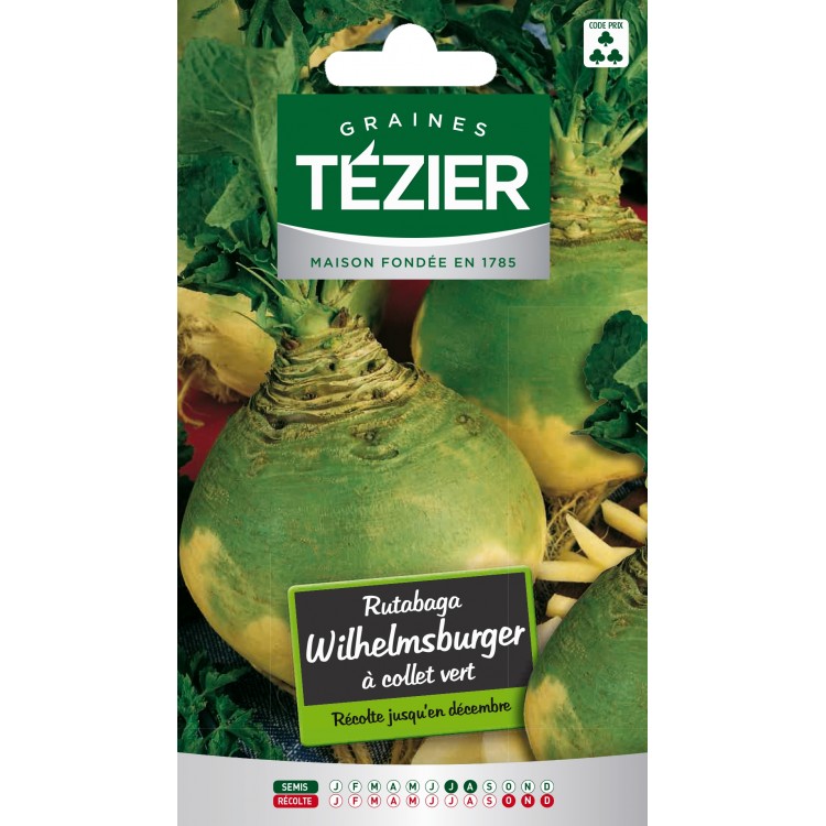 Tezier - Rutabaga Wilhelmsburger à collet vert