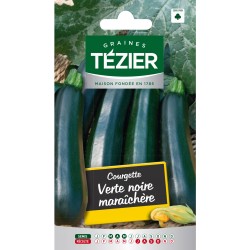 Tezier - Courgette Verte noire maraîchère