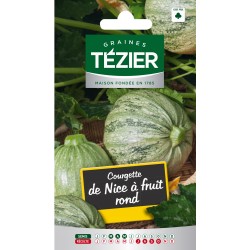 Tezier - Courgette de Nice à fruits ronds