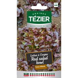 Tezier - Laitue à couper Red salad bowl (G,N,)