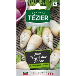 Tezier - Navet Blanc dur dhiver