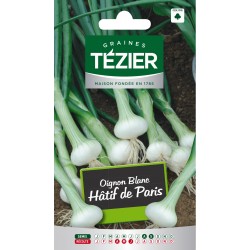 Tezier - Oignon Blanc hâtif de Paris