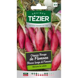 Tezier - Oignon rouge de Florence (Rossa lunga di Firenze)