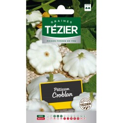 Tezier - Pâtisson Croblan (courgette)