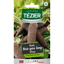 Tezier - Radis noir gros long d'hiver