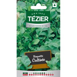 Tezier - Roquette Cultivée