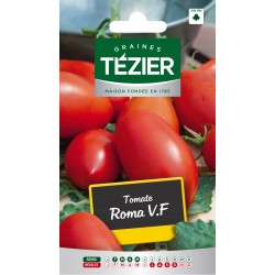 Tezier - Tomate Roma V,F