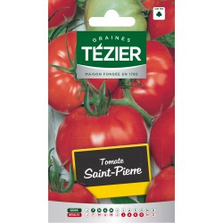 Tezier - Tomate Saint-Pierre
