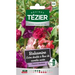 Tezier - Balsamine Extra double à fleur de camélia variée