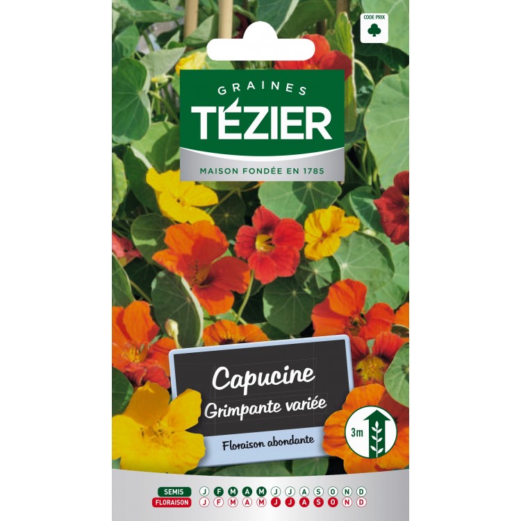 Tezier - Capucine grimpante variée -- Fleurs annuelles