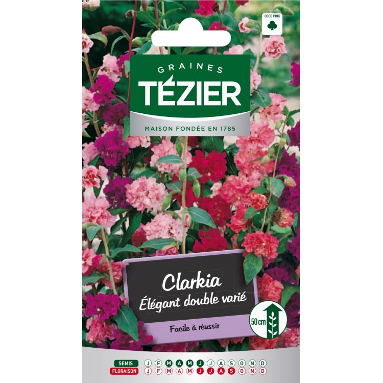 Tezier - Clarkia Elégant double varié -- Fleurs annuelles