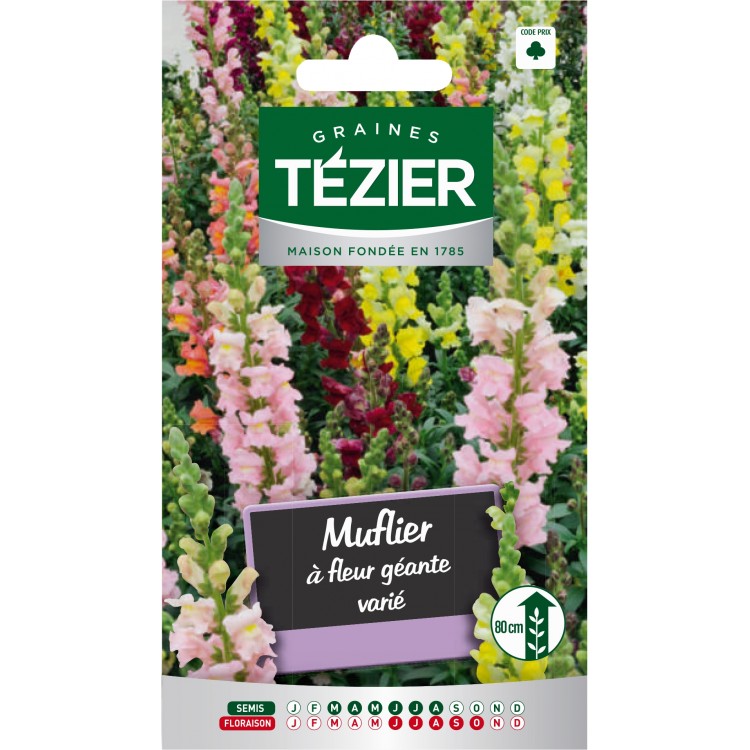 Tezier - Muflier à fleur géante varié -- Fleurs annuelles