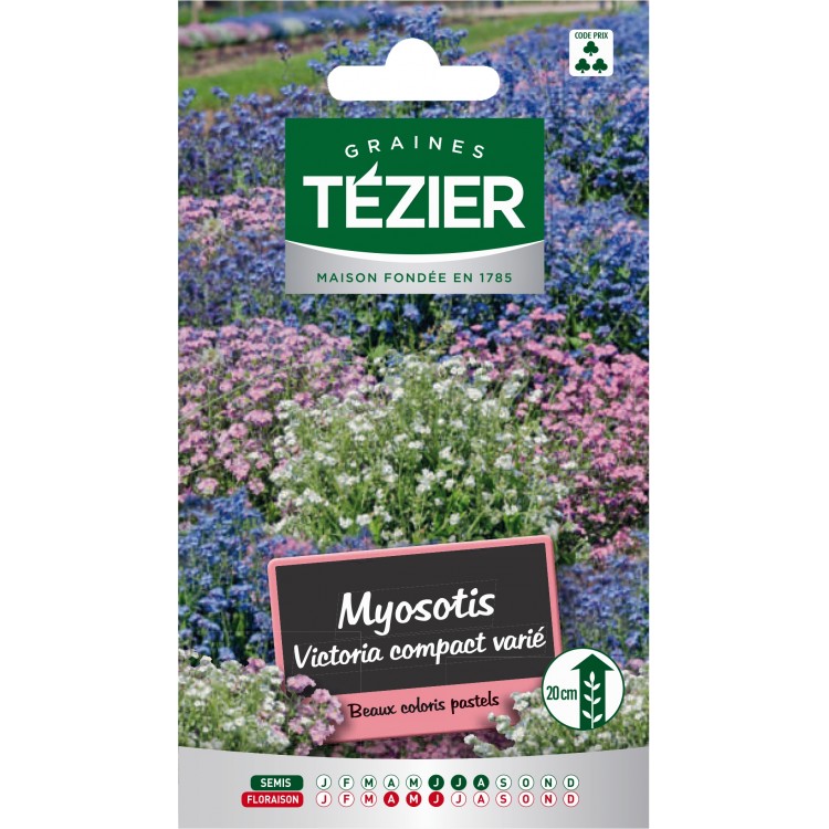 Tezier - Myosotis Victoria compact varié -- Fleurs bisannuelles
