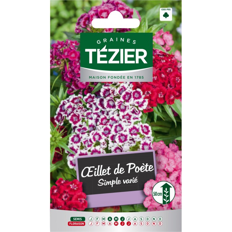 Tezier - Oeillet de poète simple varié -- Fleurs bisannuelles