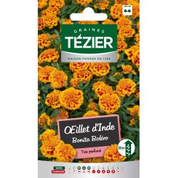 Tezier - Oeillet d'Inde Bonita Boléro -- Fleurs annuelles