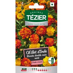 Tezier - Oeillet D'Inde Bonita double nain varié - Fleurs annuelles