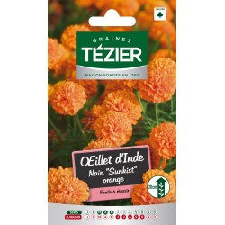 Tezier - Oeillet d'Inde nain Sunkist orange -- Fleurs annuelles