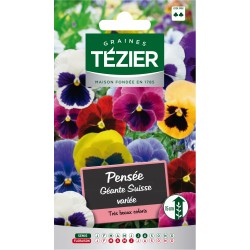 Tezier - Pensée géante Suisse variée -- Fleurs bisannuelles