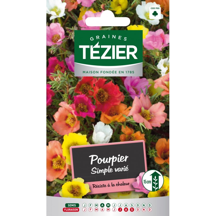 Tezier - Pourpier simple varié -- Fleurs annuelles